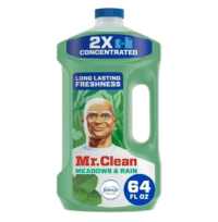 Cleaner, Mr. Clean