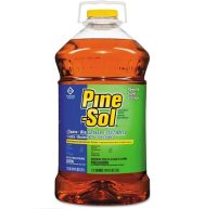 Cleaner, Pine Sol